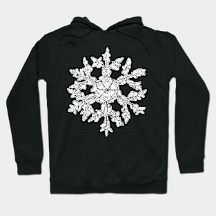 snowflake Hoodie